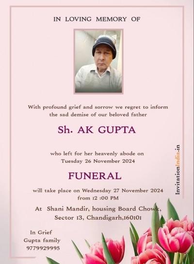 Er Abheynder Kumar Gupta